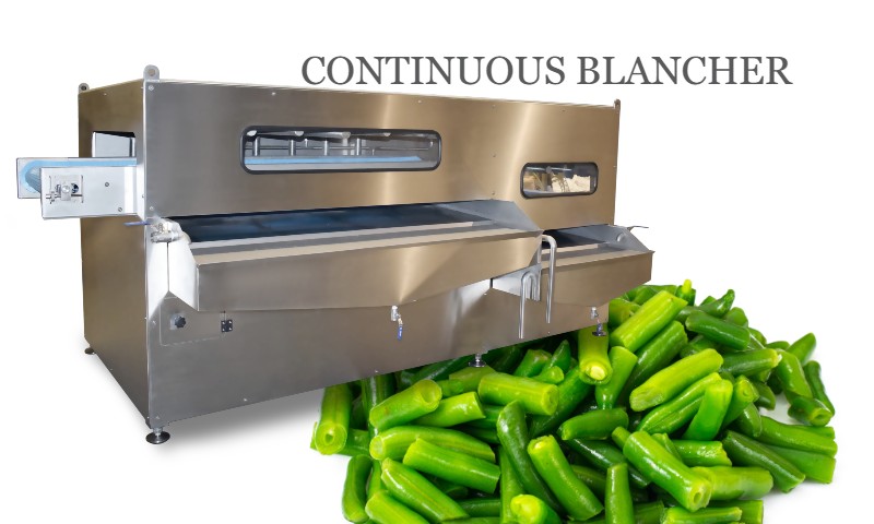 Belt blancher (Continuous) CB 800/2700 VEGETABLE BLANCHING MACHINE 