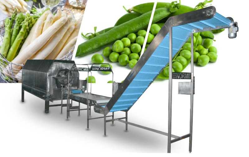 Blanching line for vegetables - NORMIT