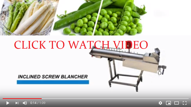 Screw Blancher | Potato blanching machine NORMIT